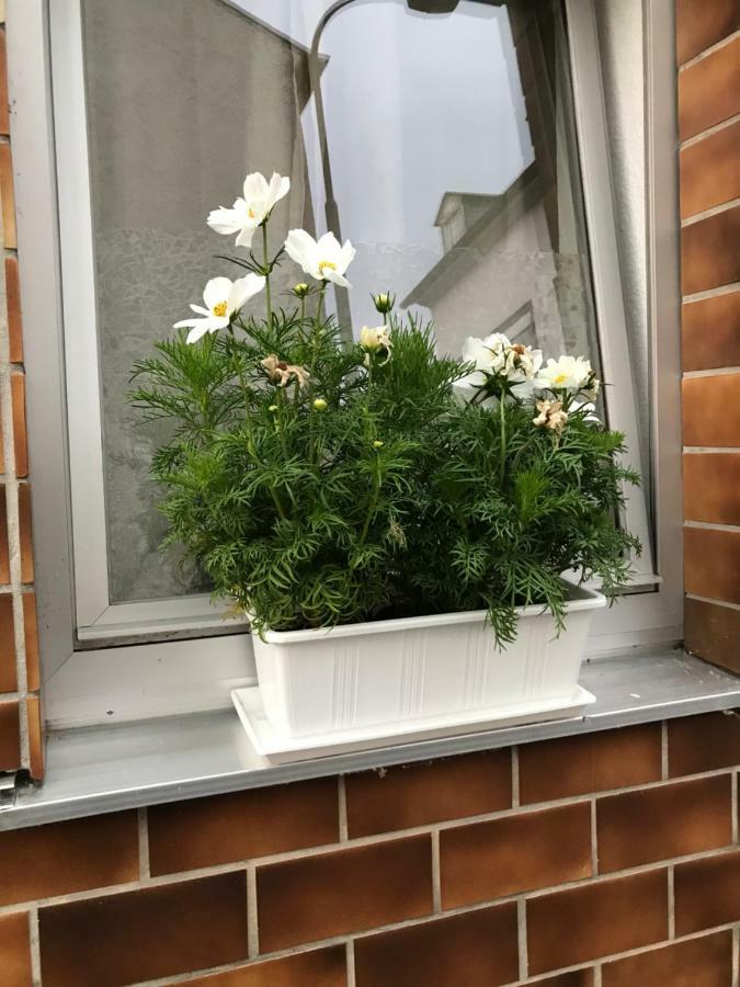 Willa Ferienhaus Loehr Mit Treppenlift Koblencja Zewnętrze zdjęcie